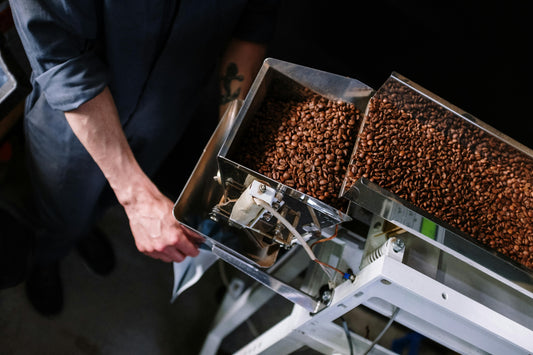 light vs dark roast coffee beans in roasting drum